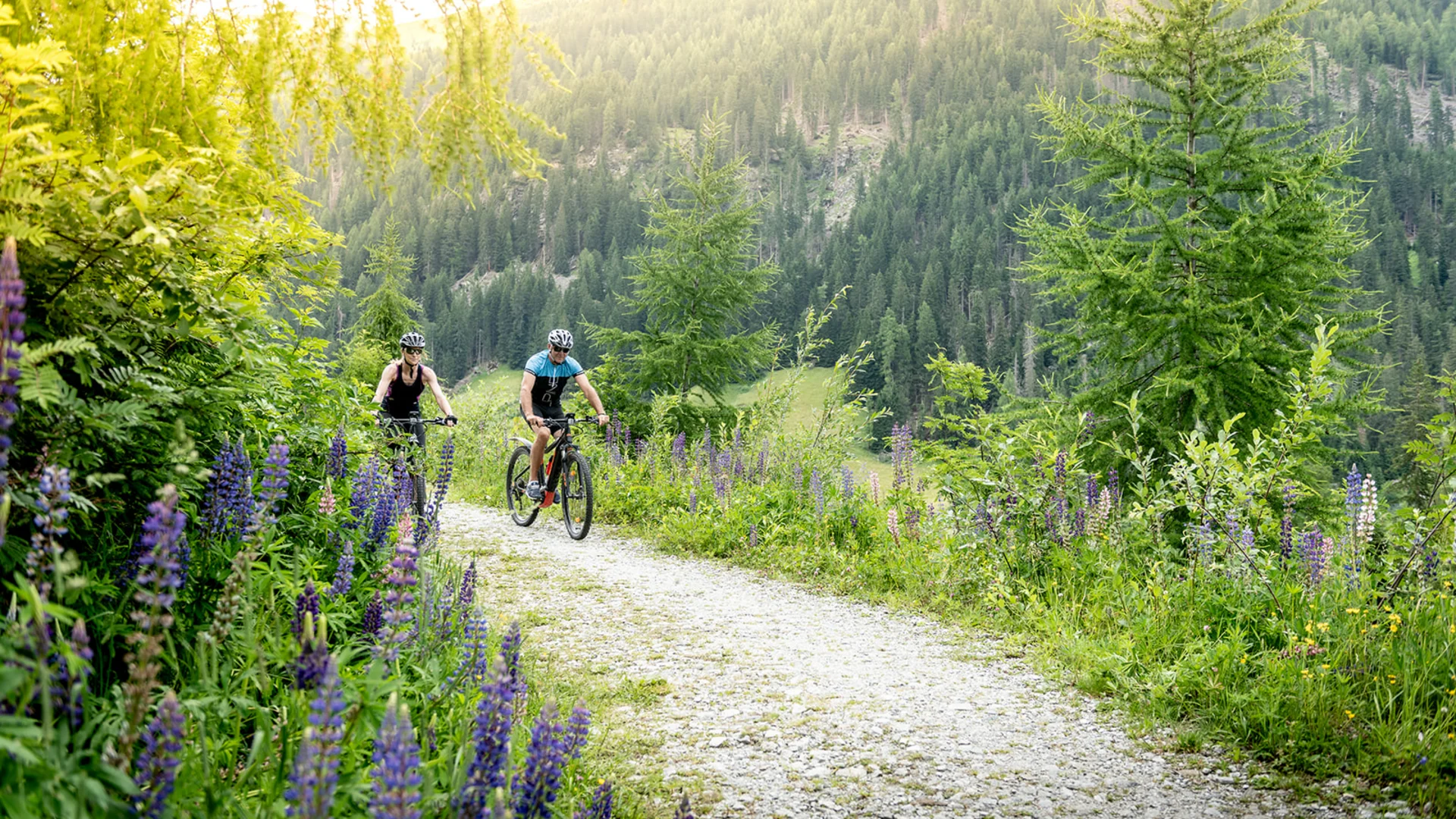 Ciclisti su sentiero tra alberi e montagne