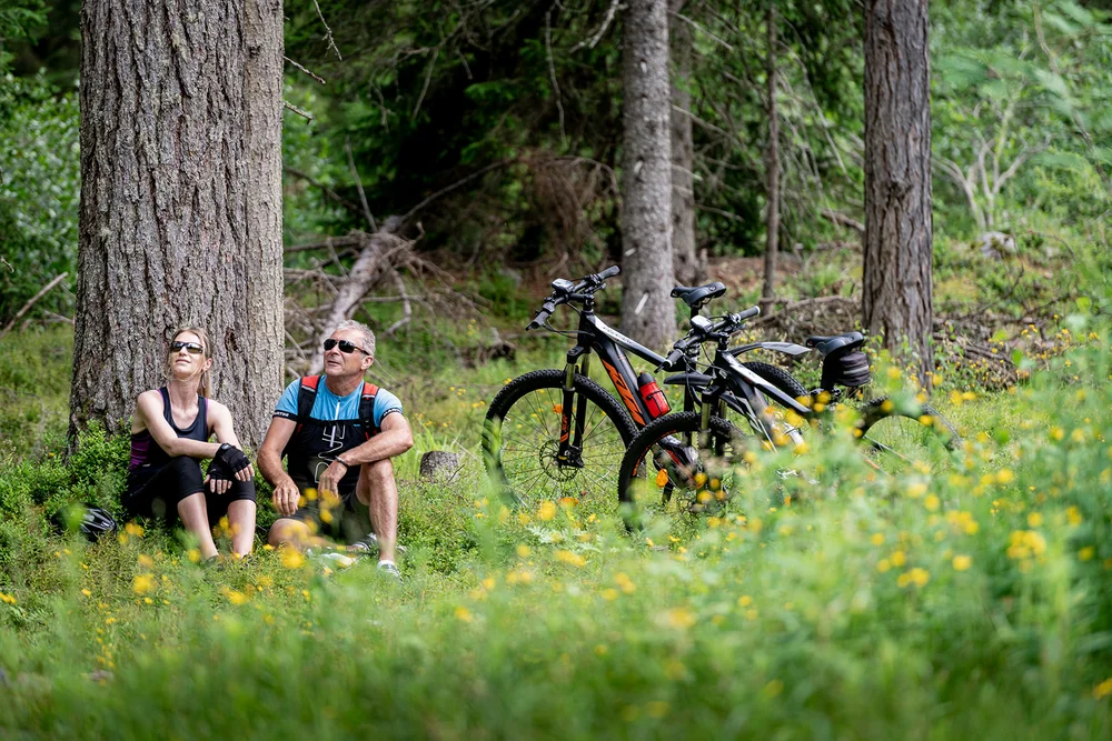 Coppia su una pausa durante una pedalata in un bosco verde
