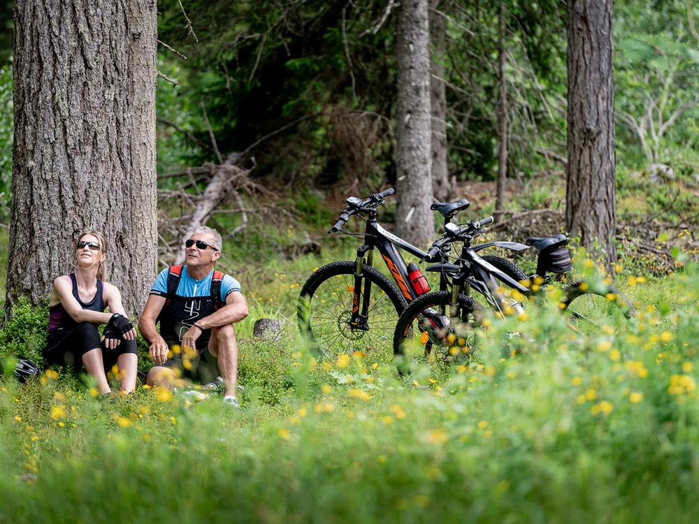 Coppia su una pausa durante una pedalata in un bosco verde